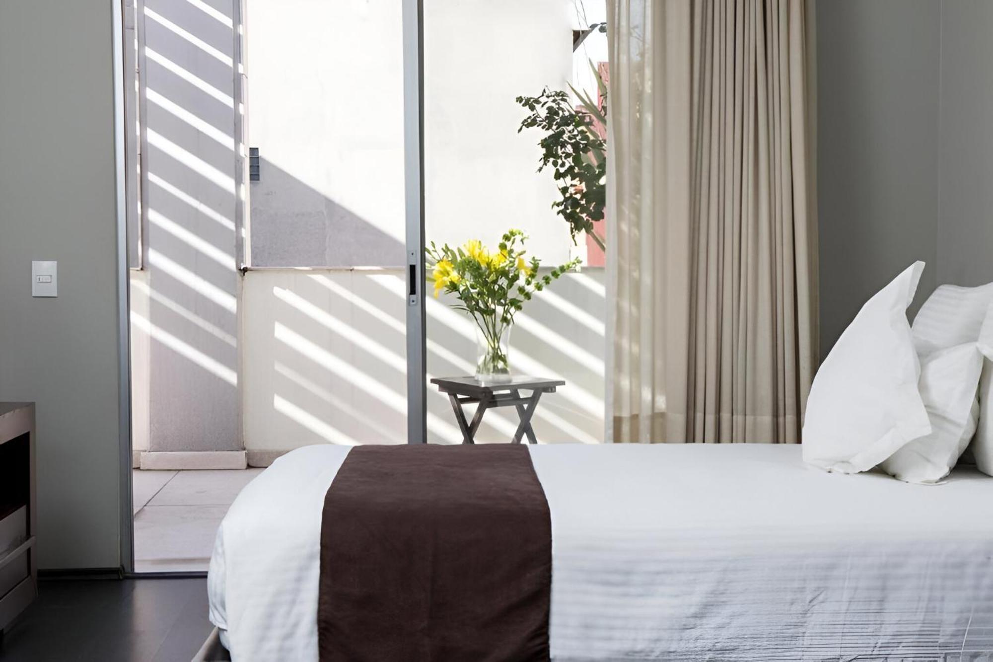 Suites Giorgio Ciudad de México Exteriér fotografie